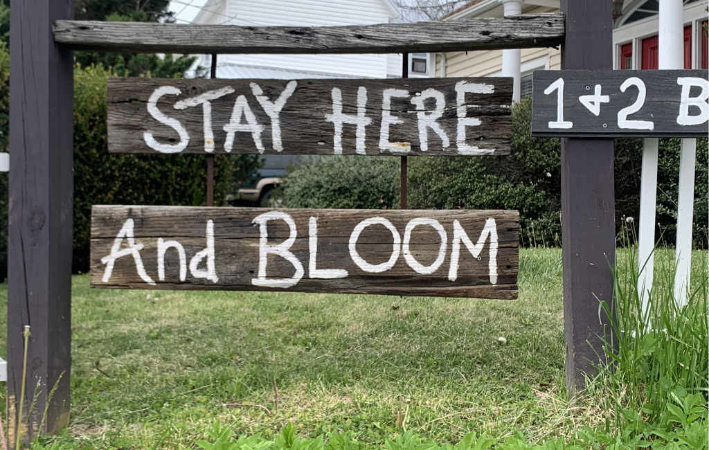 Boone, North Carolina